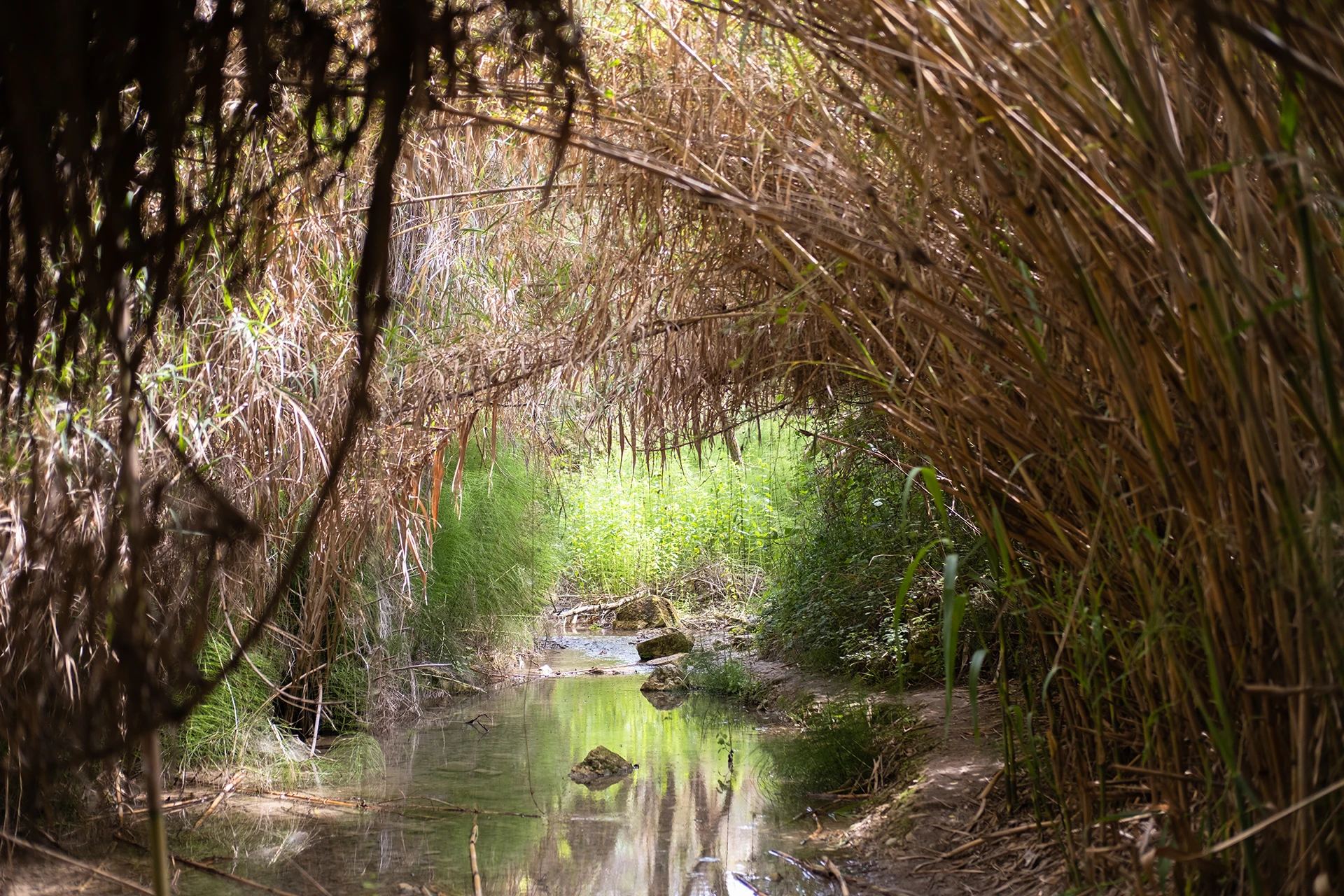 adonis waterfall cyprus