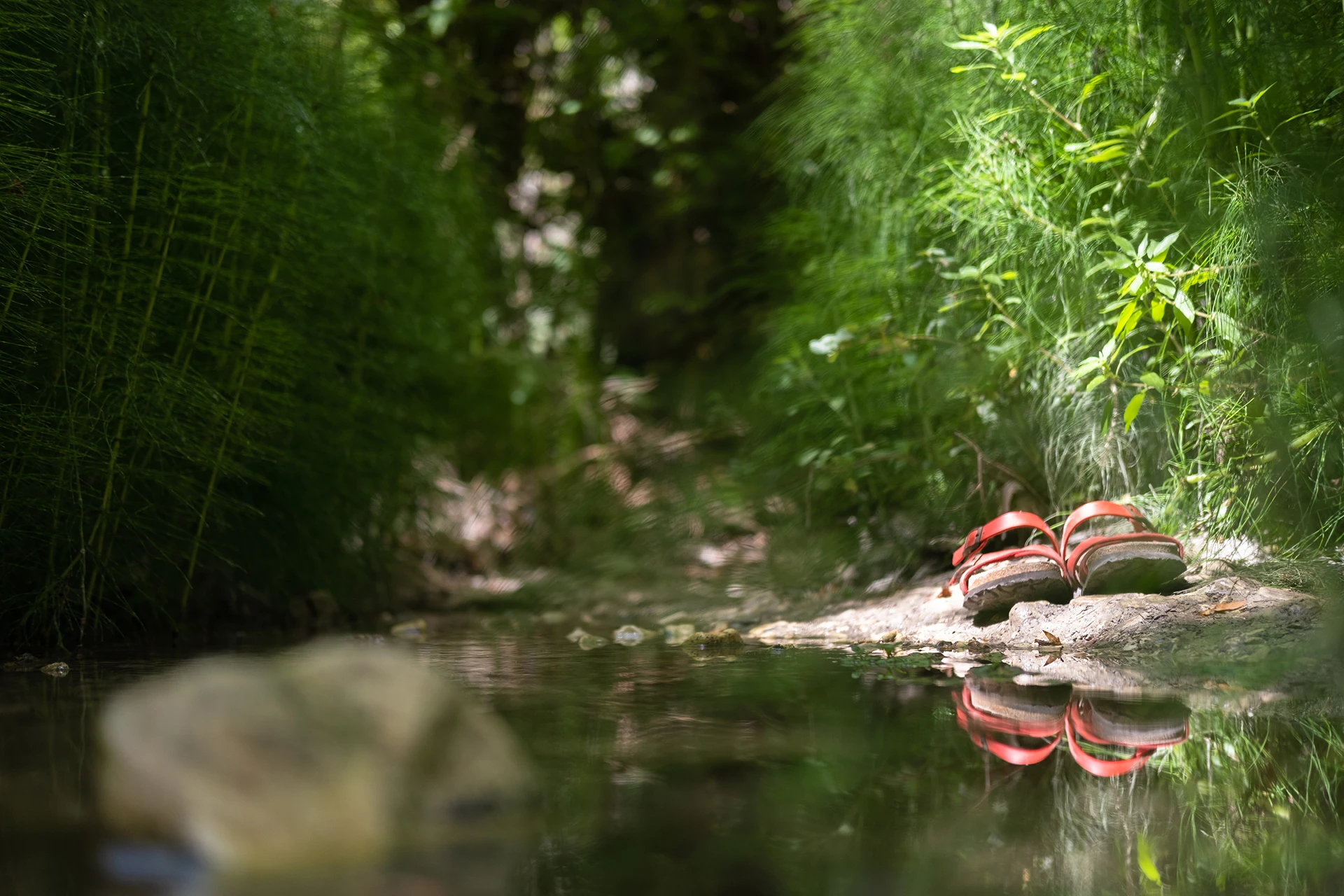 adonis waterfall cyprus