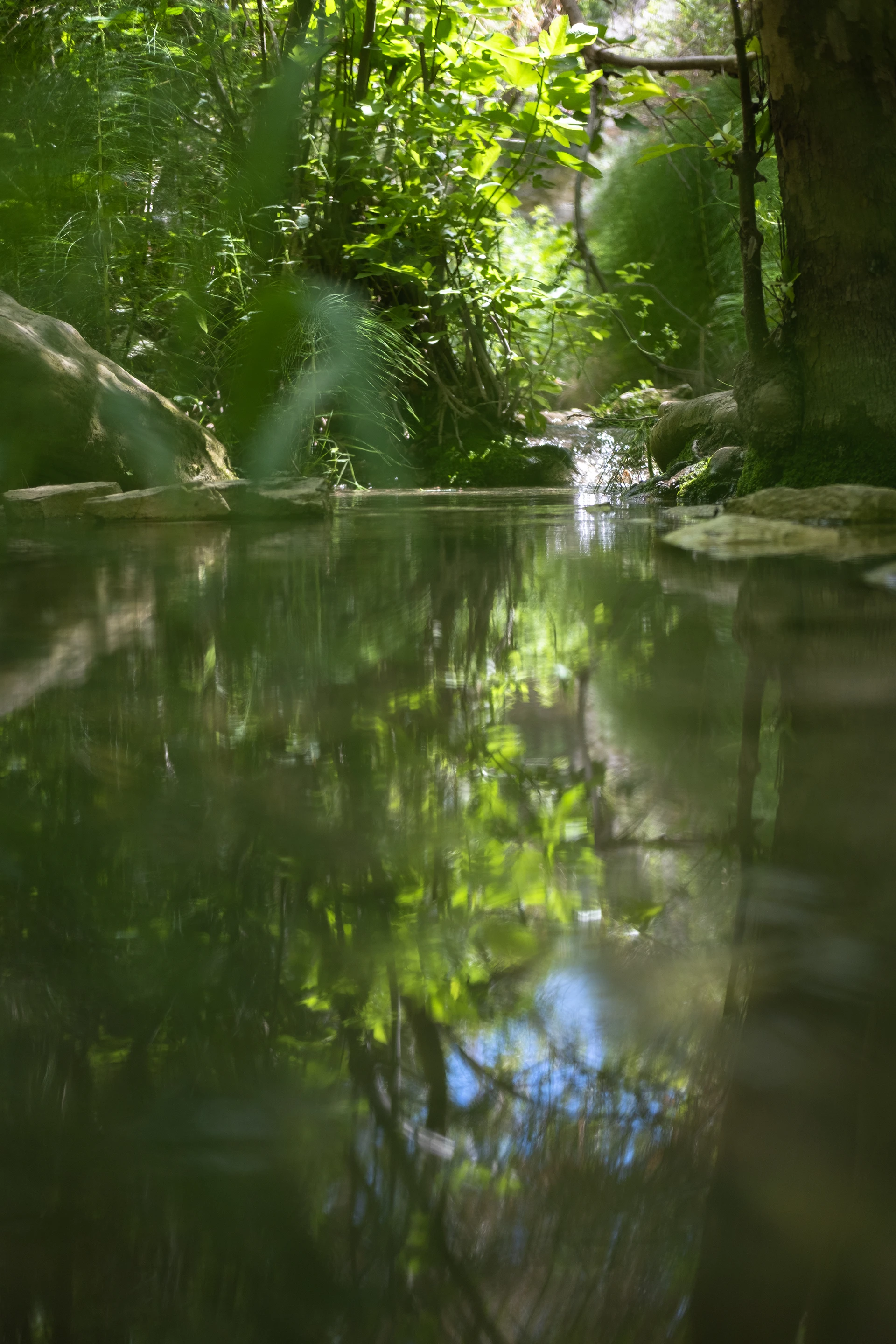 adonis waterfall cyprus